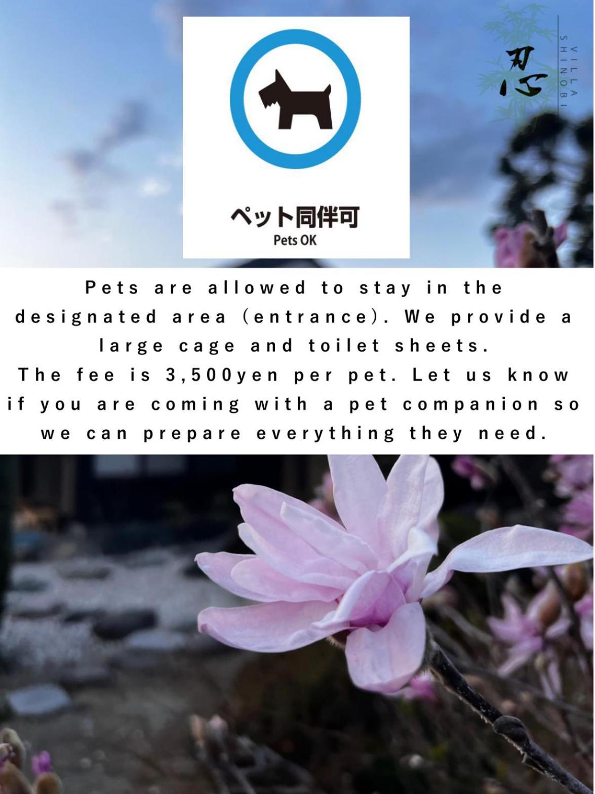 Villa Shinobi -忍- Hinasze Kültér fotó