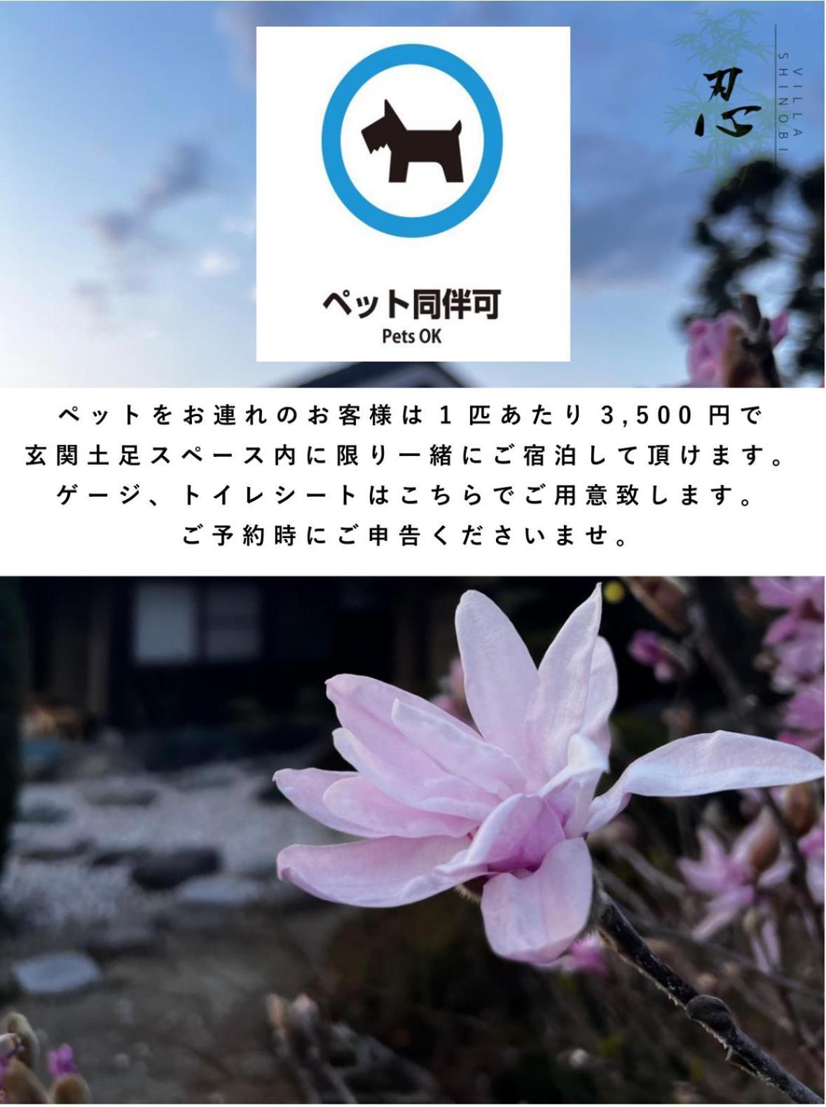 Villa Shinobi -忍- Hinasze Kültér fotó