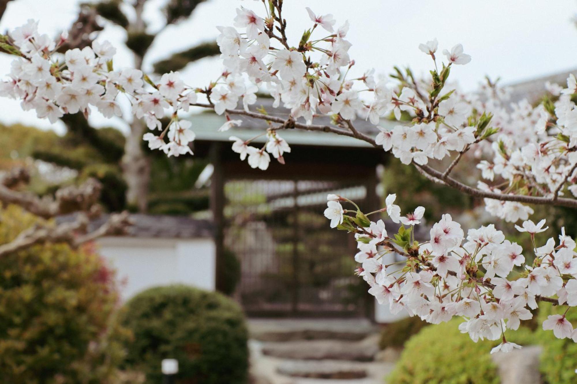 Villa Shinobi -忍- Hinasze Kültér fotó